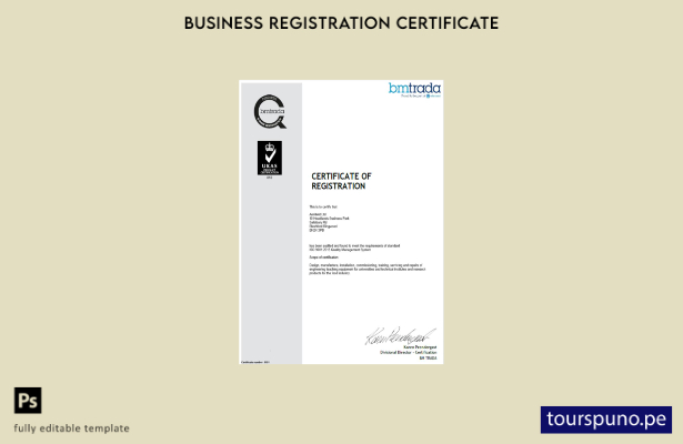 listo para imprimir Certificado de registro de empresa BMtrada del Reino Unido P